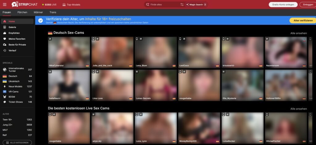 Webová stránka Stripchat